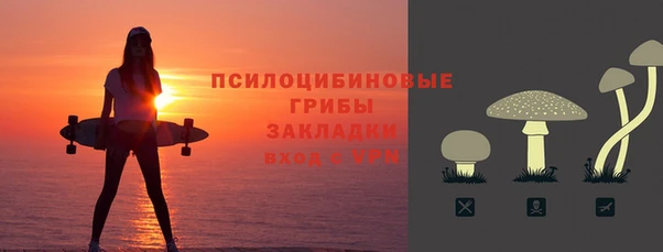 спиды Верея