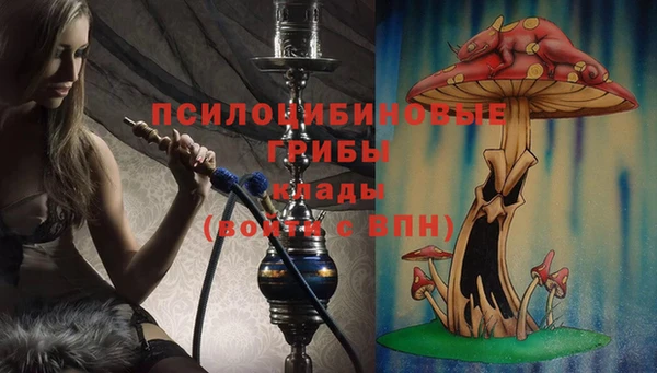 спиды Верея