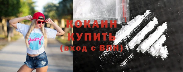 крисы Бронницы